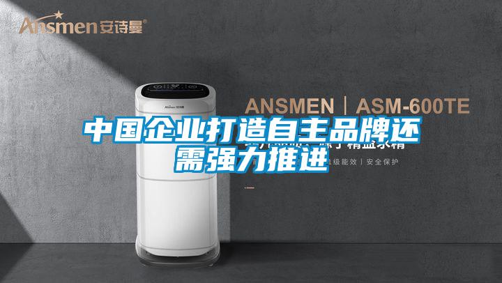 中國(guó)企業(yè)打造自主品牌還需強(qiáng)力推進(jìn)