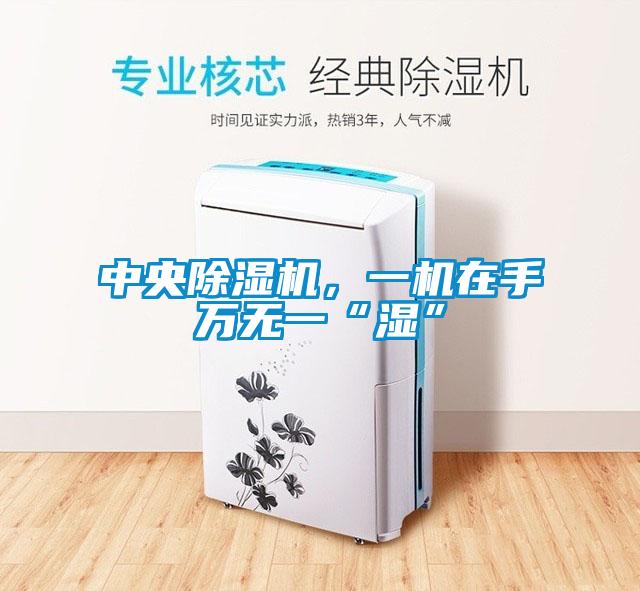 中央除濕機，一機在手萬無一“濕”