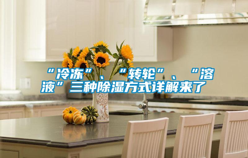 “冷凍”、“轉(zhuǎn)輪”、“溶液”三種除濕方式詳解來了