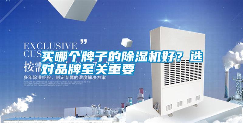 買哪個牌子的除濕機好？選對品牌至關重要
