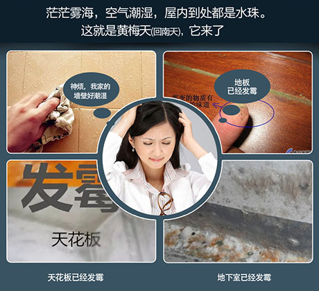 家庭別墅的地下室、衛(wèi)生間、儲(chǔ)物室等該如何除濕？