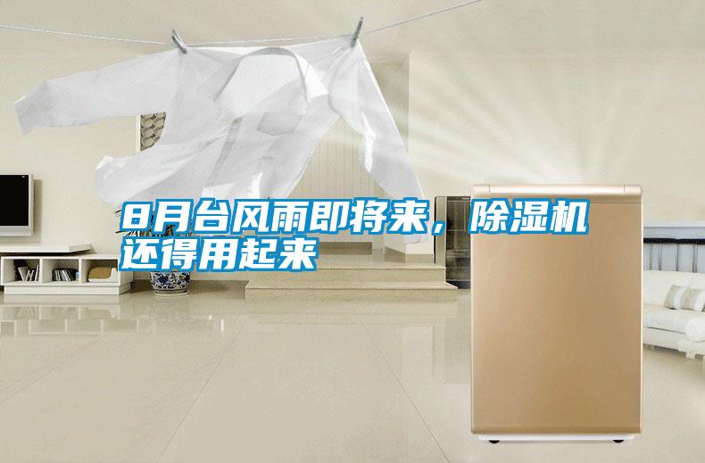 8月臺風雨即將來，除濕機還得用起來