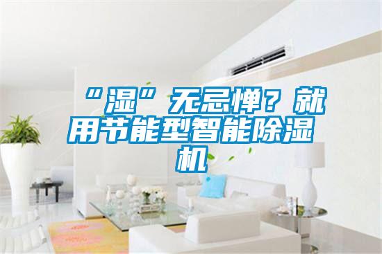 “濕”無忌憚？就用節(jié)能型智能除濕機(jī)