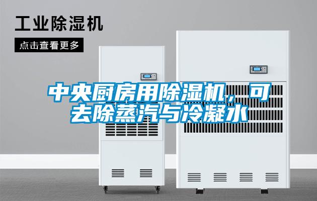 中央廚房用除濕機，可去除蒸汽與冷凝水