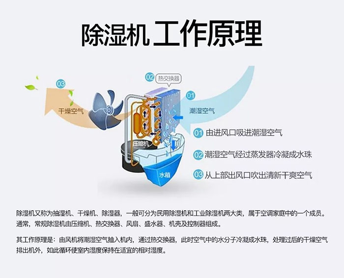 潮濕天氣狗最容易患上這種毛病！三個注意事項，鏟屎官一定要看看