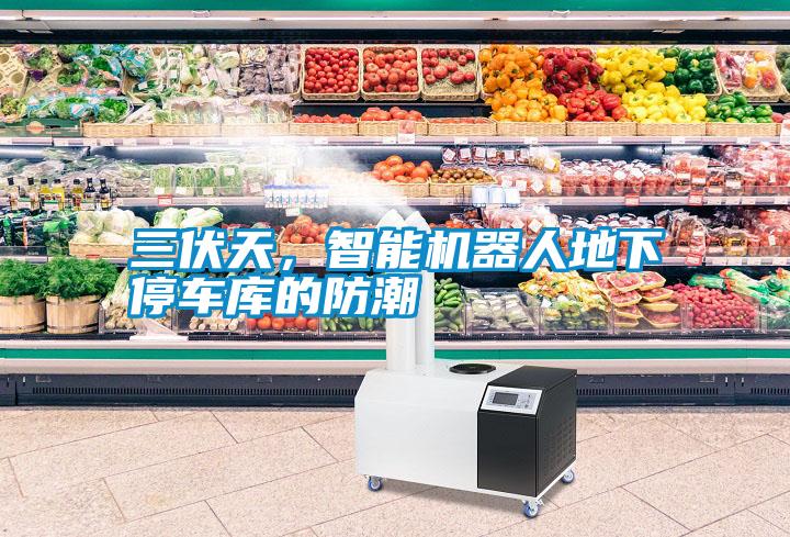 三伏天，智能機器人地下停車庫的防潮