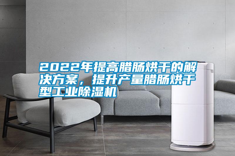 2022年提高臘腸烘干的解決方案，提升產(chǎn)量臘腸烘干型工業(yè)除濕機