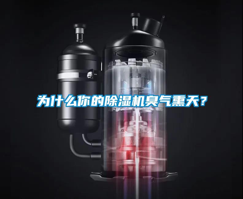 為什么你的除濕機臭氣熏天？