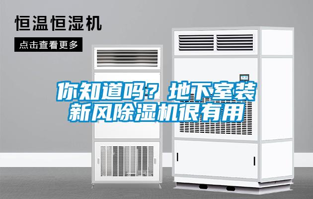 你知道嗎？地下室裝新風(fēng)除濕機(jī)很有用