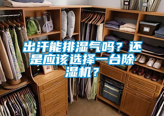 出汗能排濕氣嗎？還是應(yīng)該選擇一臺除濕機？