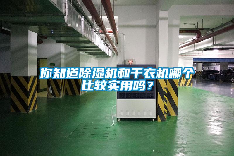 你知道除濕機(jī)和干衣機(jī)哪個(gè)比較實(shí)用嗎？