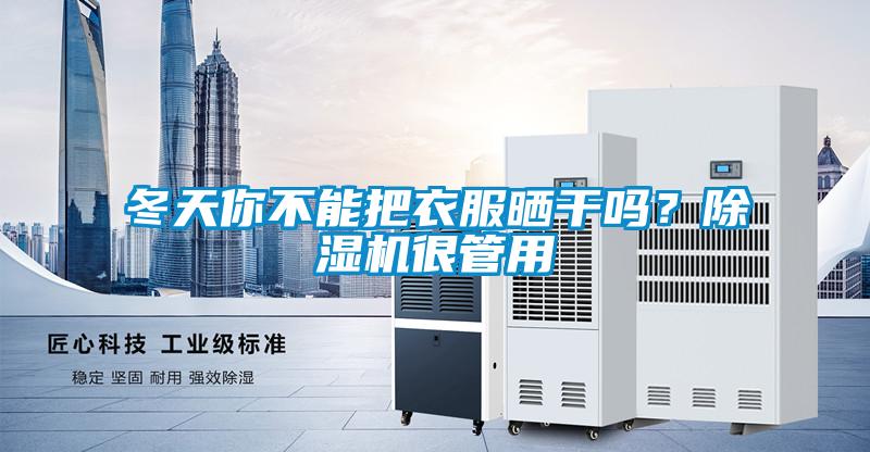 冬天你不能把衣服曬干嗎？除濕機(jī)很管用