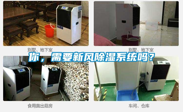 你，需要新風除濕系統嗎？