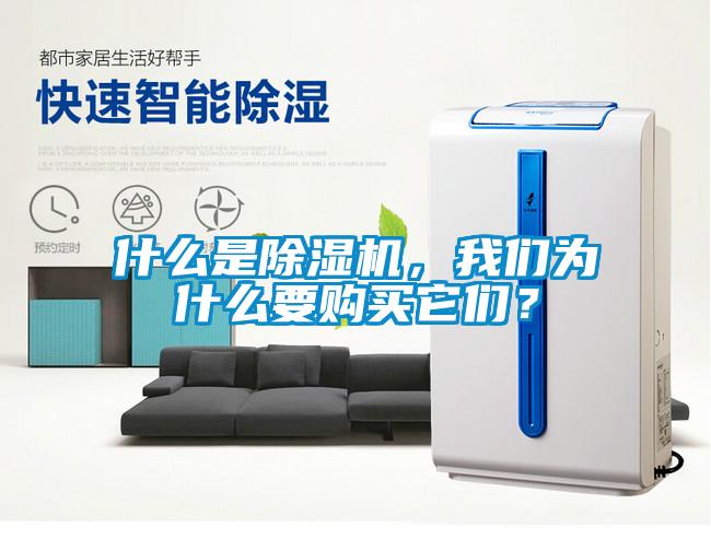 什么是除濕機，我們為什么要購買它們？