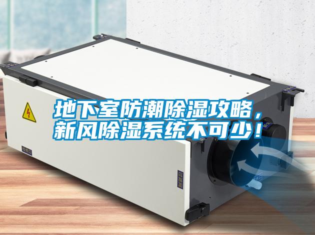 地下室防潮除濕攻略，新風除濕系統不可少！