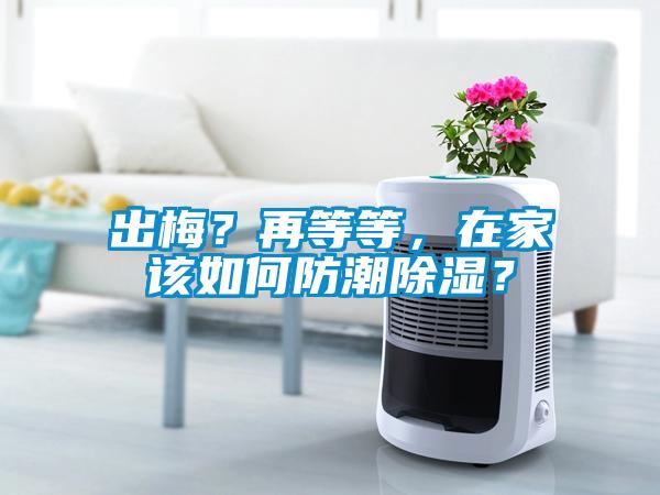 出梅？再等等，在家該如何防潮除濕？