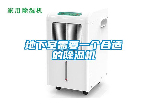 地下室需要一個合適的除濕機(jī)