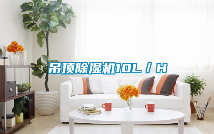 吊頂除濕機(jī)10L／H