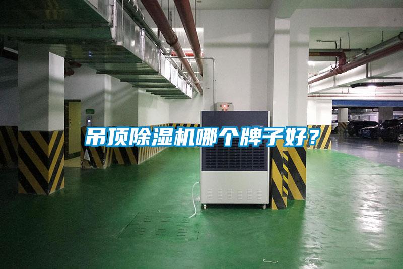 吊頂除濕機(jī)哪個(gè)牌子好？