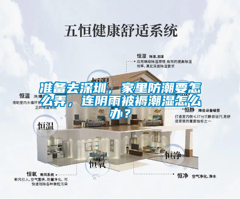 準備去深圳，家里防潮要怎么弄，連陰雨被褥潮濕怎么辦？