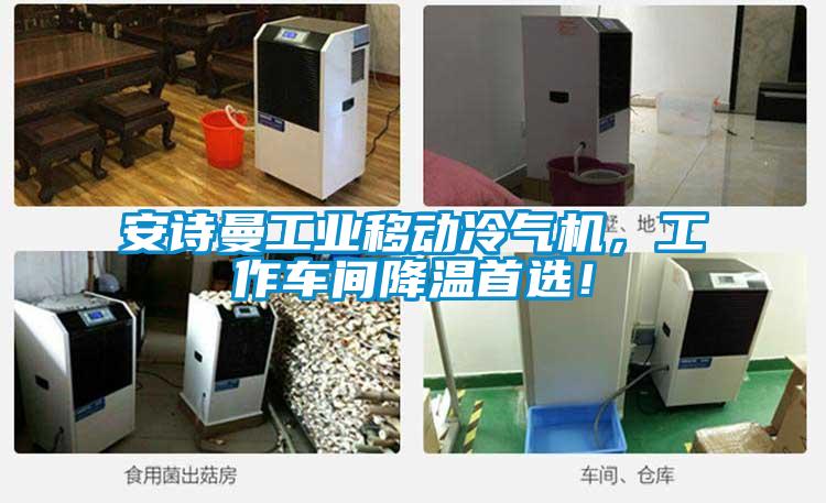 安詩曼工業(yè)移動(dòng)冷氣機(jī)，工作車間降溫首選！