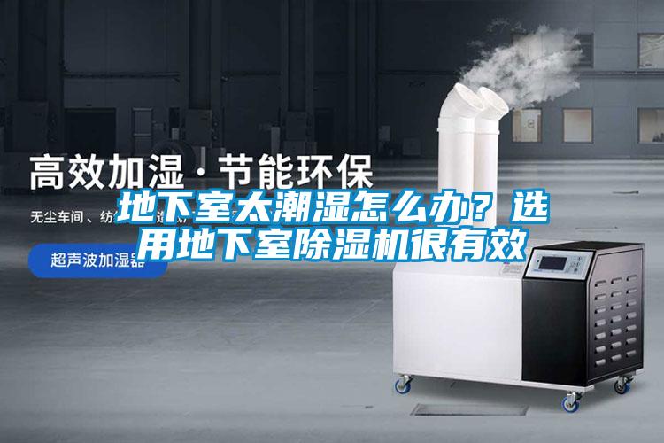 地下室太潮濕怎么辦？選用地下室除濕機(jī)很有效