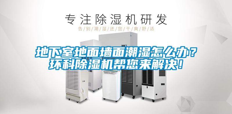 地下室地面墻面潮濕怎么辦？環科除濕機幫您來解決！