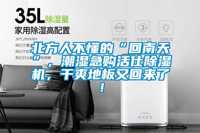 北方人不懂的“回南天”，潮濕急購活仕除濕機，干爽地板又回來了！