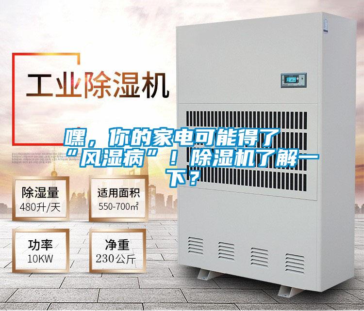 嘿，你的家電可能得了“風濕病”！除濕機了解一下？