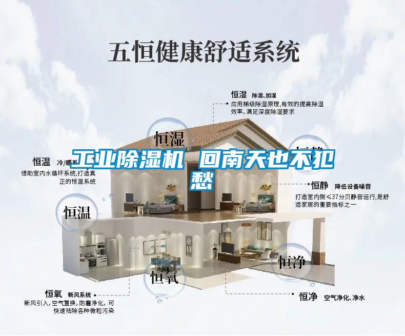 工業(yè)除濕機(jī) 回南天也不犯愁