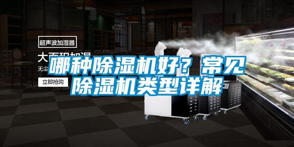 哪種除濕機好？常見除濕機類型詳解
