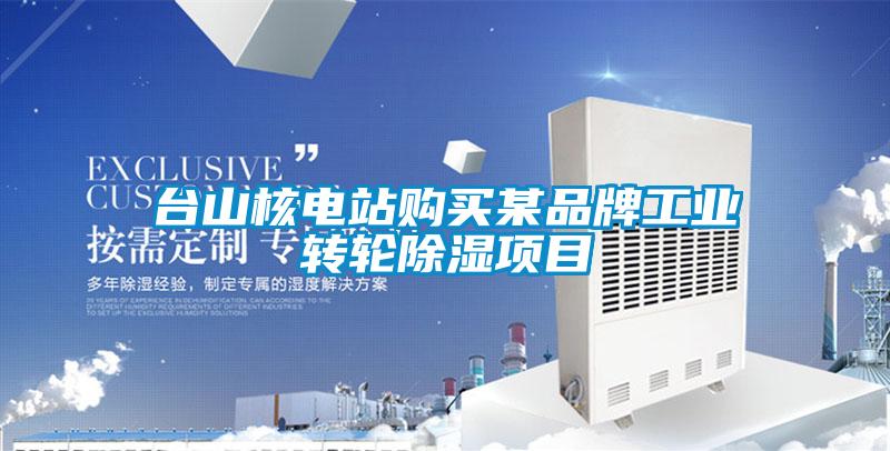 臺(tái)山核電站購(gòu)買(mǎi)某品牌工業(yè)轉(zhuǎn)輪除濕項(xiàng)目
