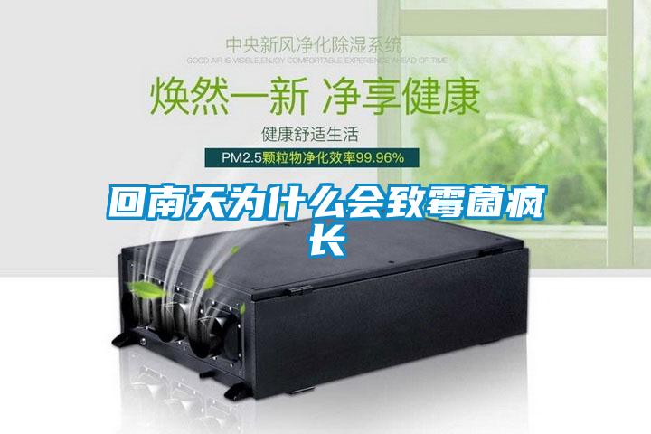 回南天為什么會(huì)致霉菌瘋長