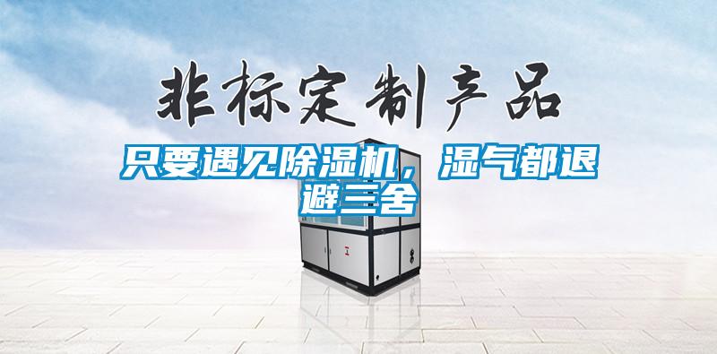 只要遇見除濕機，濕氣都退避三舍