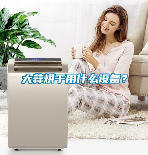 大蒜烘干用什么設備？