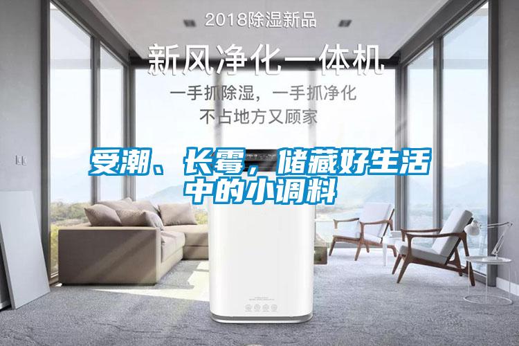 受潮、長霉，儲藏好生活中的小調料