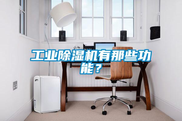工業除濕機有那些功能？