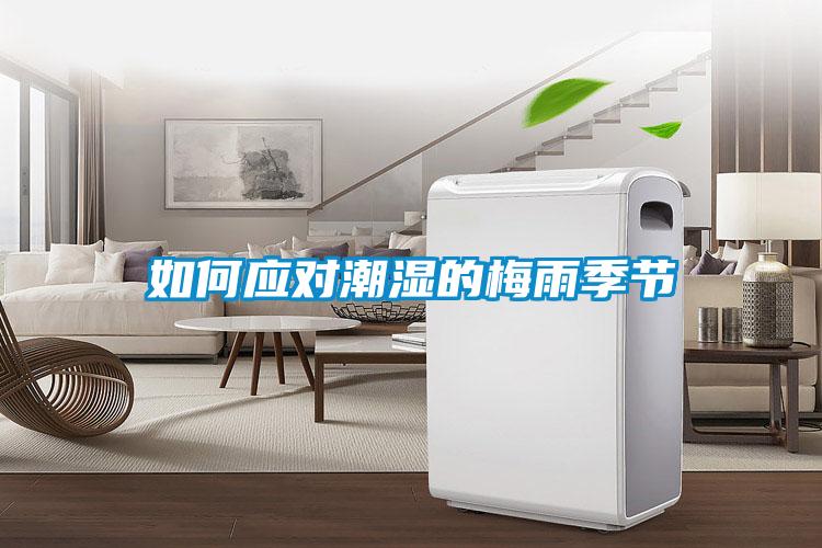 如何應(yīng)對潮濕的梅雨季節(jié)