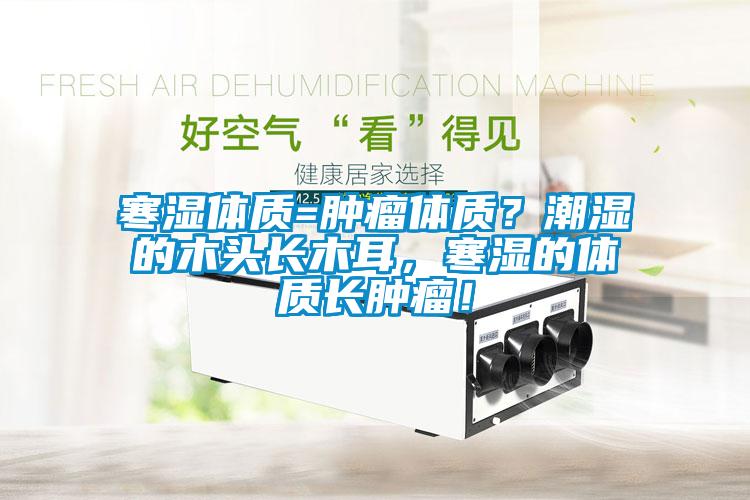 寒濕體質(zhì)=腫瘤體質(zhì)？潮濕的木頭長木耳，寒濕的體質(zhì)長腫瘤！