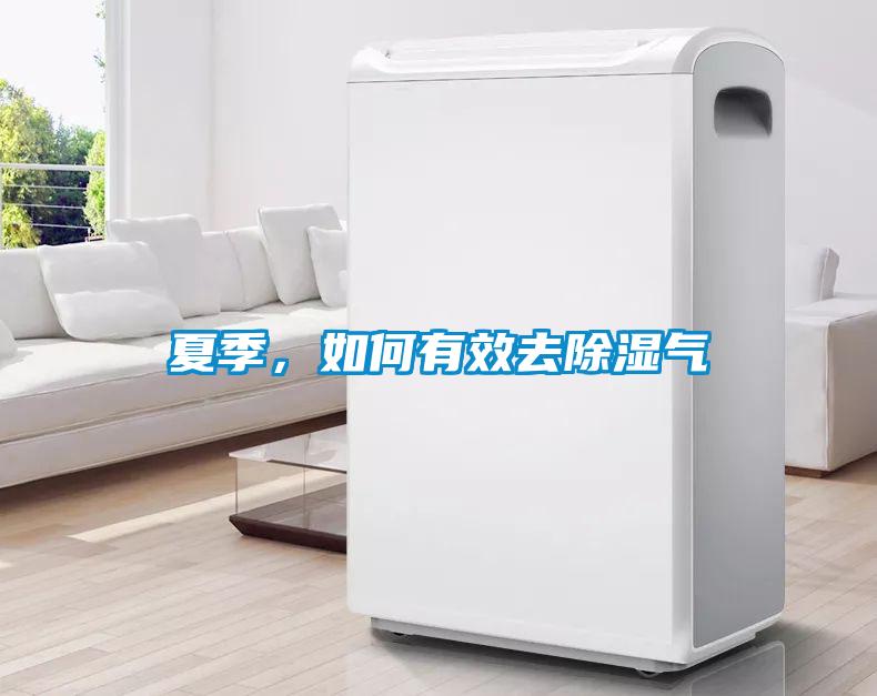 夏季，如何有效去除濕氣
