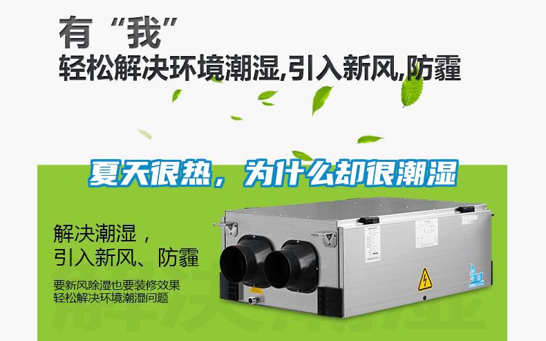夏天很熱，為什么卻很潮濕