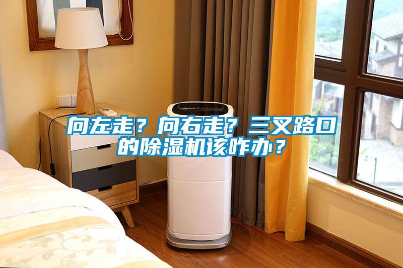 向左走？向右走？三叉路口的除濕機該咋辦？