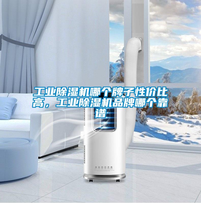 工業(yè)除濕機(jī)哪個(gè)牌子性價(jià)比高，工業(yè)除濕機(jī)品牌哪個(gè)靠譜