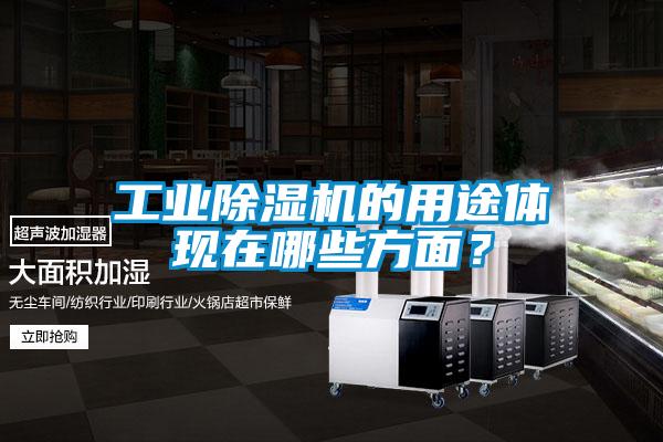 工業除濕機的用途體現在哪些方面？