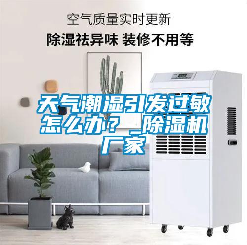 天氣潮濕引發(fā)過(guò)敏怎么辦？_除濕機(jī)廠家