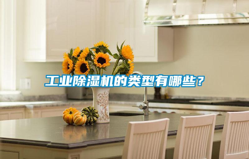 工業(yè)除濕機(jī)的類型有哪些？