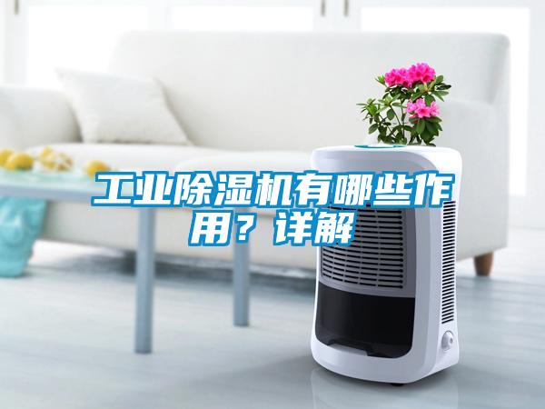 工業(yè)除濕機(jī)有哪些作用？詳解