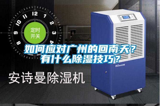 如何應對廣州的回南天？有什么除濕技巧？