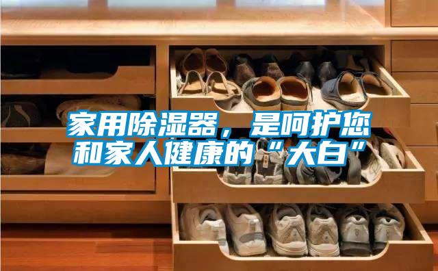 家用除濕器，是呵護(hù)您和家人健康的“大白”