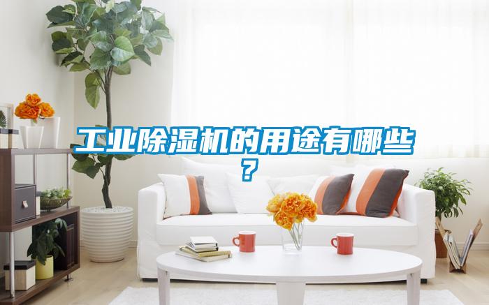 工業(yè)除濕機(jī)的用途有哪些？